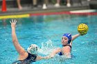 WWPolo vs CC  Wheaton College Women’s Water Polo compete in their sports inaugural match vs Connecticut College. - Photo By: KEITH NORDSTROM : Wheaton, water polo, inaugural